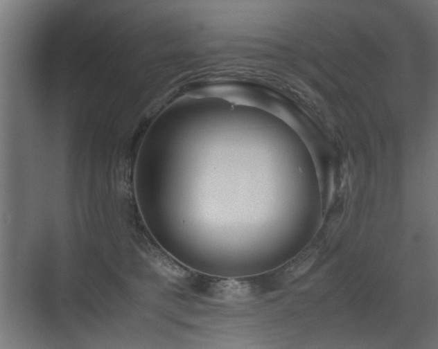 X0000075410421200609081316