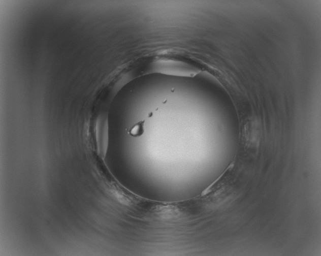 X0000075410424200609081316