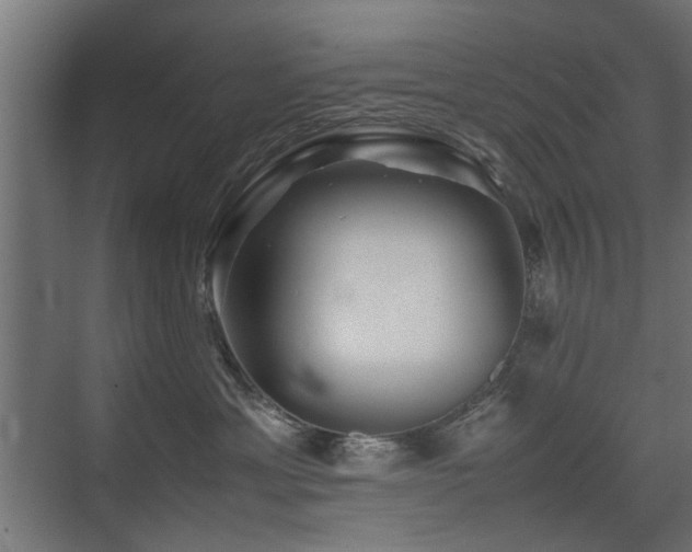 X0000075410429200609081316