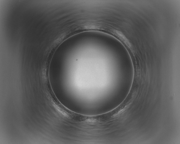 X0000075410441200609081315