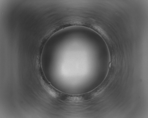 X0000075410449200609081315