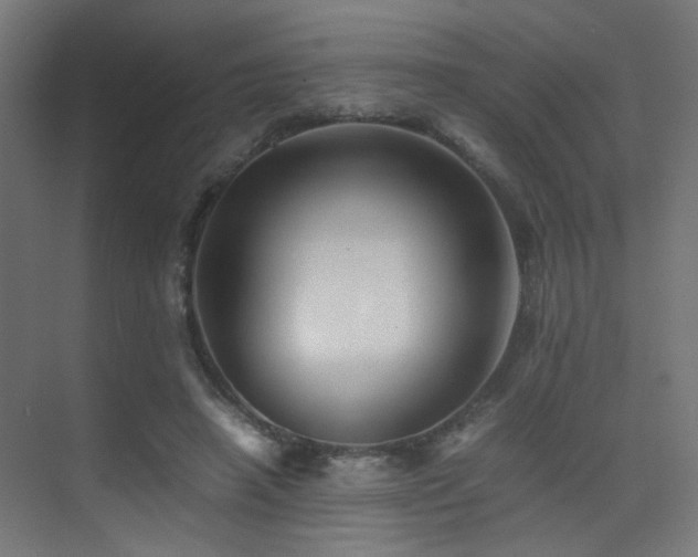 X0000075410450200609081315