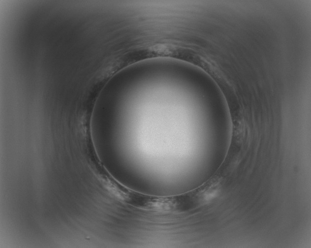 X0000075410466200609081316