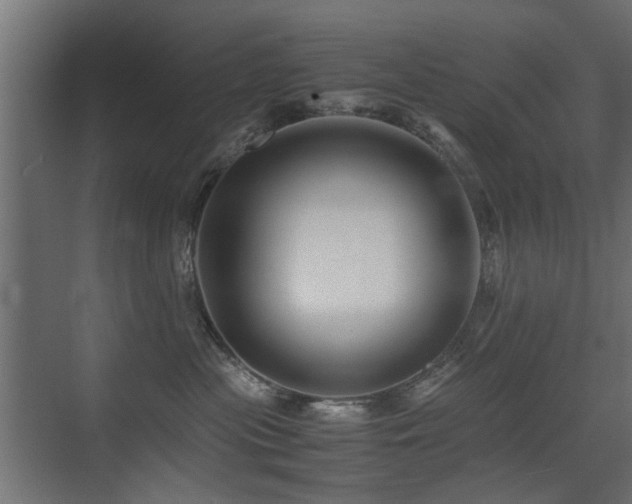 X0000075410477200609081316