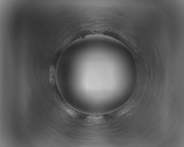 X0000075410480200609081316