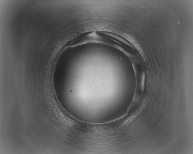 X0000075410481200609081315