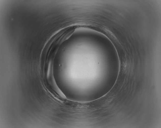X0000075410484200609081315