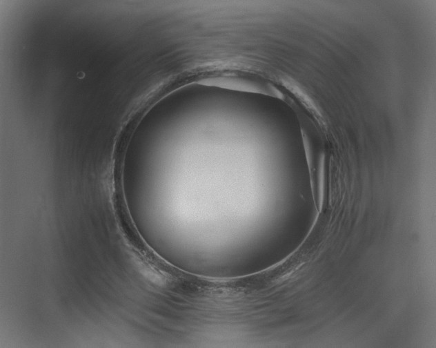 X0000075410486200609081315