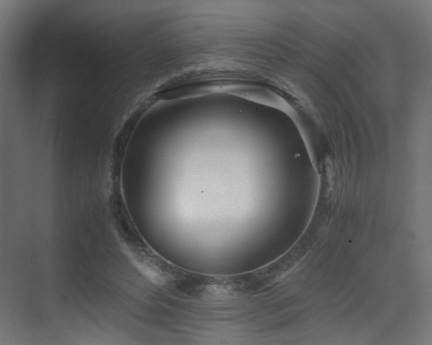 X0000075410496200609081315