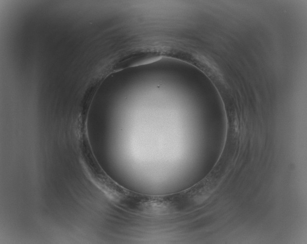 X0000075410498200609081315