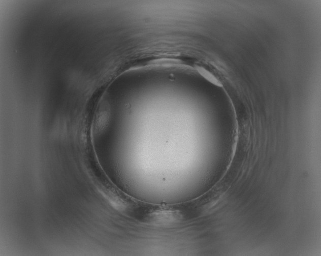 X0000075410499200609081315