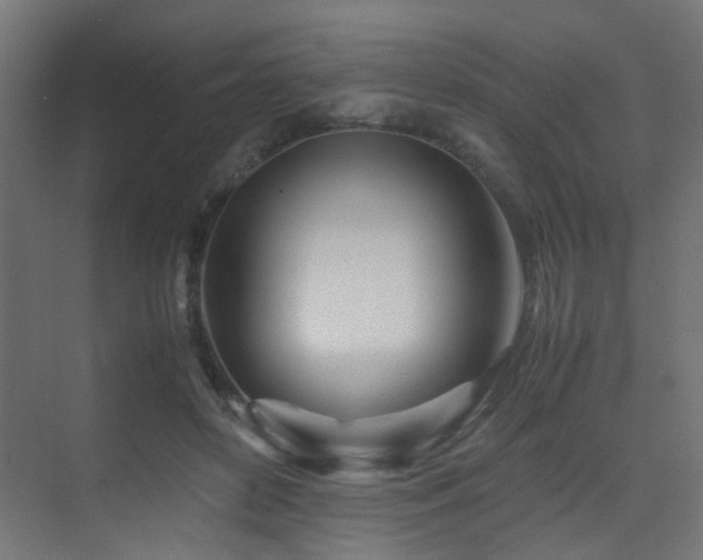 X0000075410504200609081315