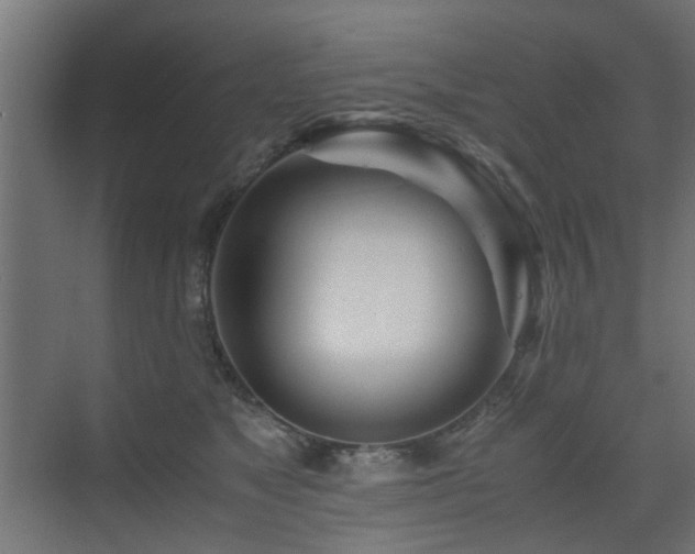 X0000075410517200609081314