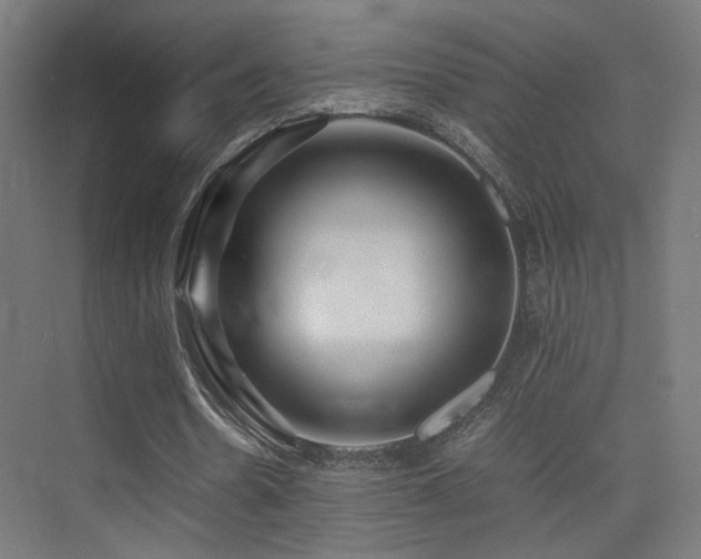 X0000075410530200609081314