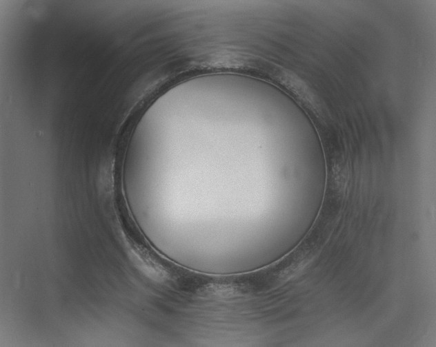 X0000075410534200609081314