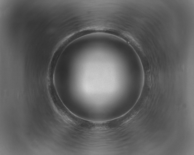 X0000075410536200609081314