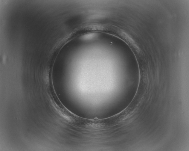 X0000075410537200609081314