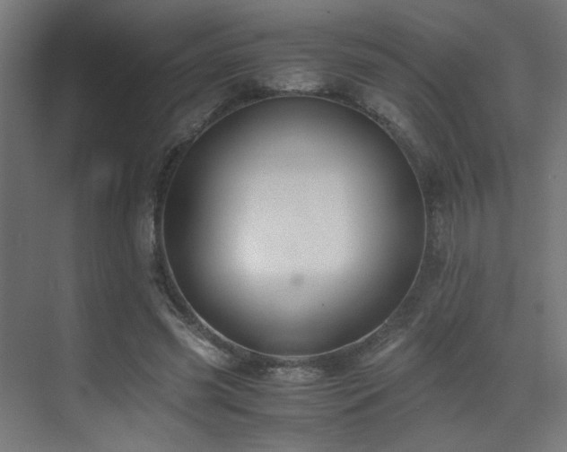 X0000075410541200609081314