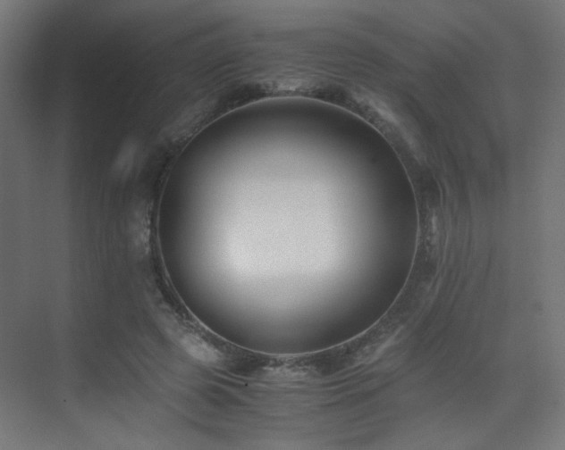 X0000075410545200609081314