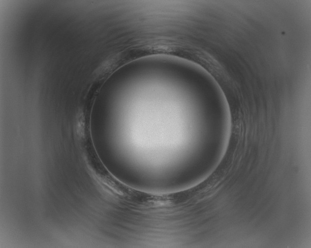 X0000075410552200609081314