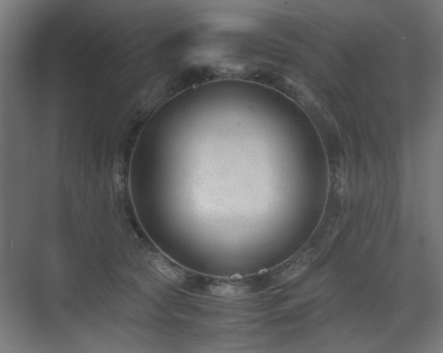 X0000075410561200609081314