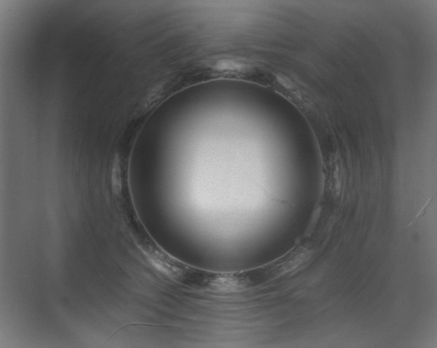 X0000075410562200609081314