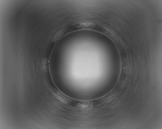 X0000075410563200609081314