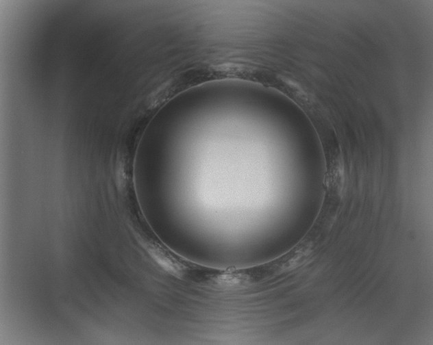 X0000075410566200609081314