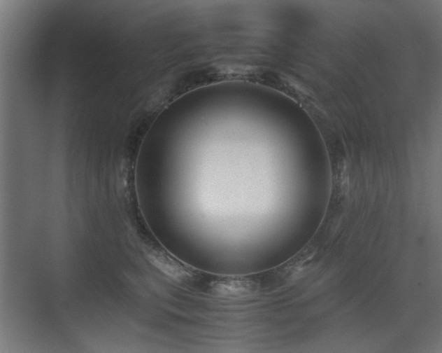 X0000075410567200609081314