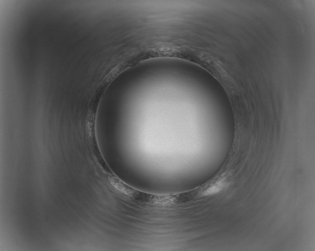 X0000075410576200609081314