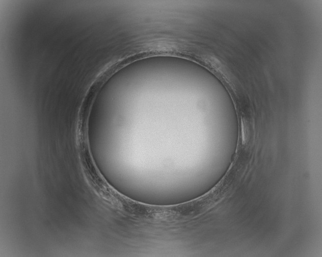X0000075410579200609081313