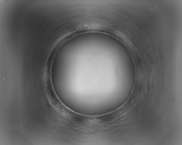 X0000075410583200609081313