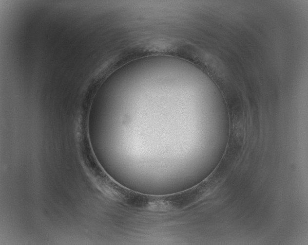 X0000075410591200609081313
