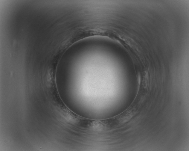X0000075410608200609081313