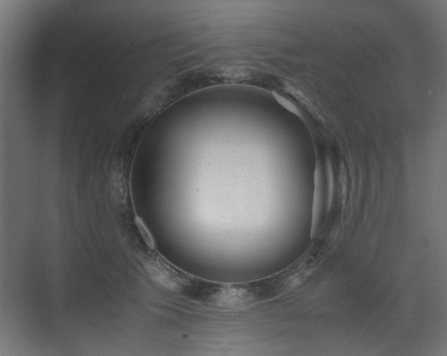 X0000075410609200609081313