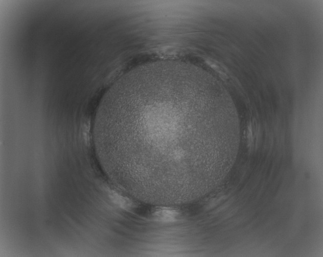 X0000075410610200609081313
