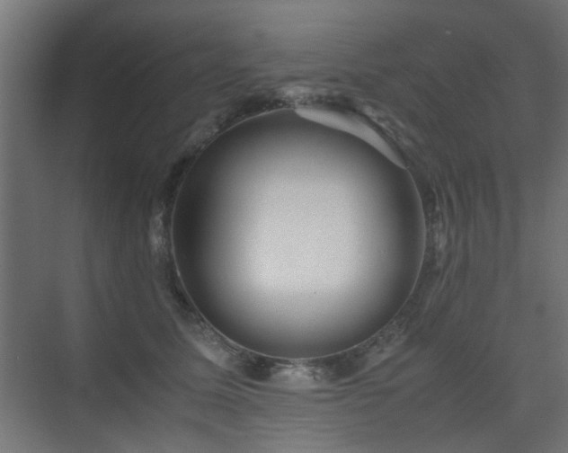 X0000075410611200609081313