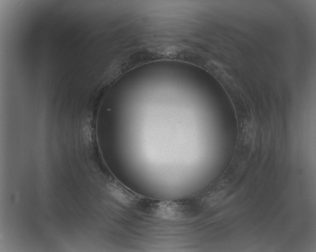 X0000075410612200609081313