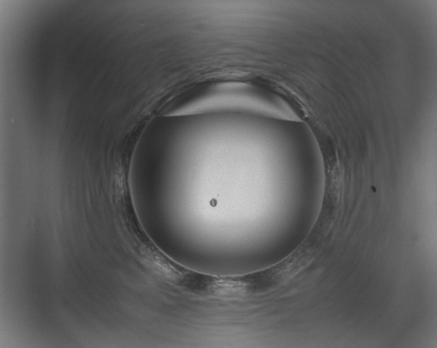 X0000075410617200609081313