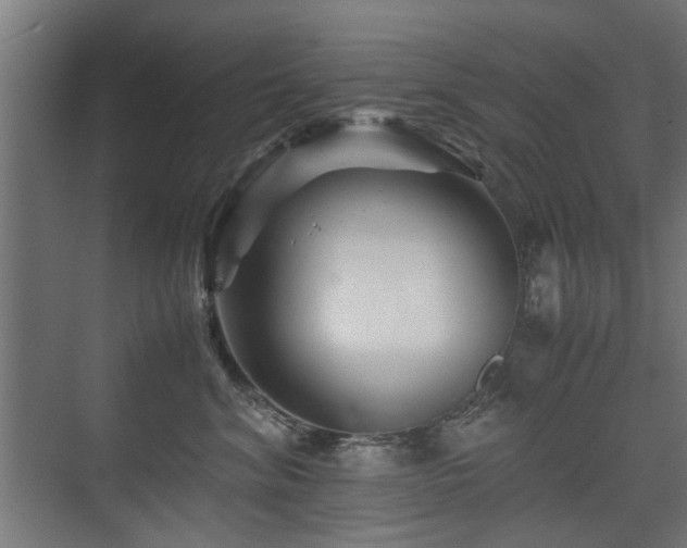X0000075410620200609081313