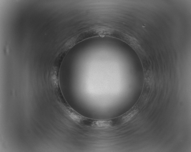 X0000075410622200609081313