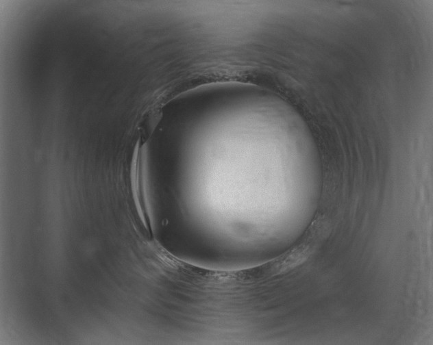 X0000075410624200609081313