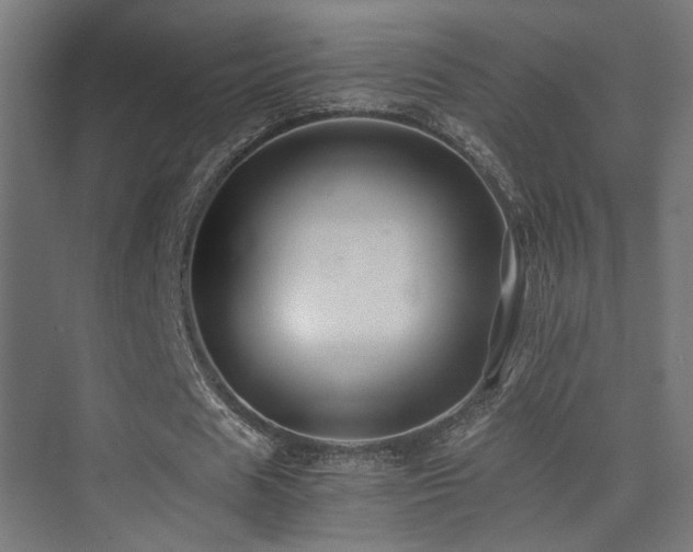 X0000075410625200609081312
