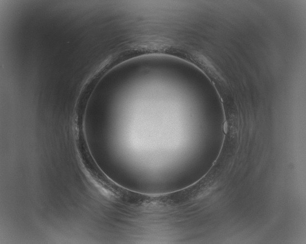 X0000075410634200609081312
