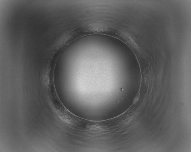 X0000075410635200609081312