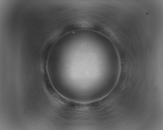 X0000075410643200609081312