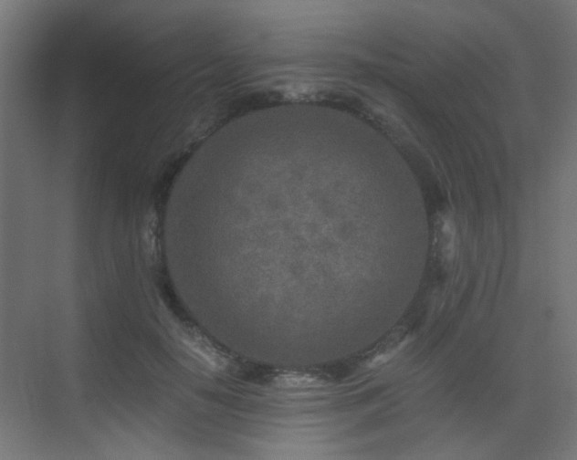 X0000075410650200609081312
