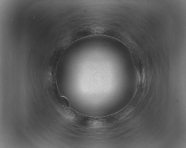 X0000075410655200609081312