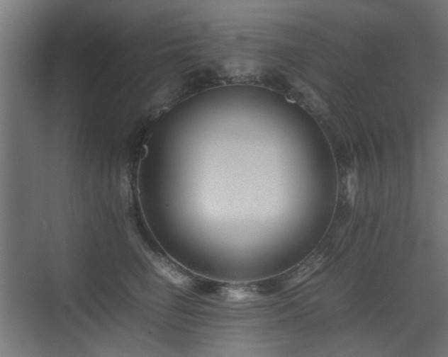 X0000075410662200609081312