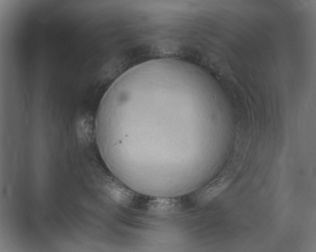X0000075410672200609081313